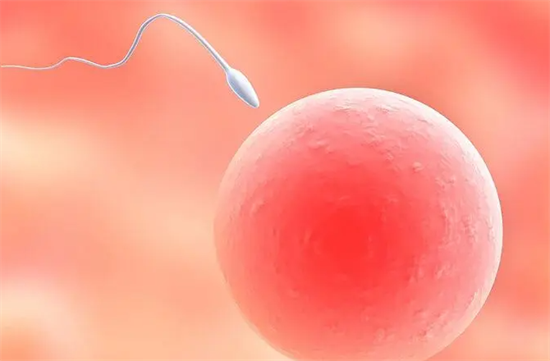 1698215507870450.png 13.png