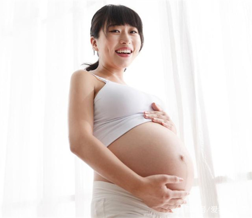 1698218556845753.jpg 孕108.jpg