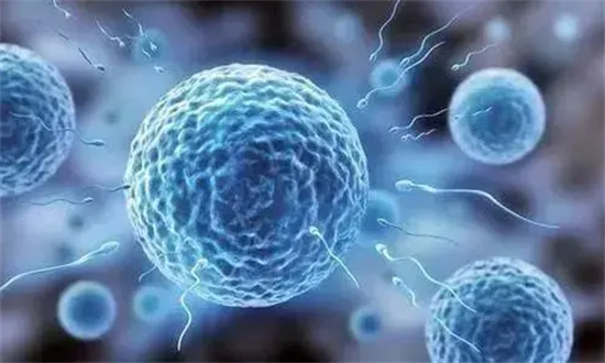 1698995920748820.png 105.png