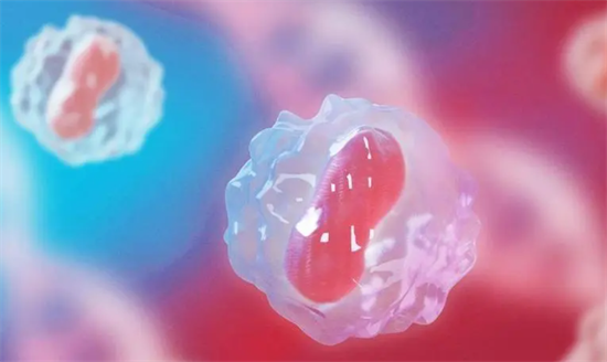 1698996451431776.png 73.png