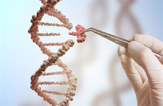 1699689235683476.png 57.png