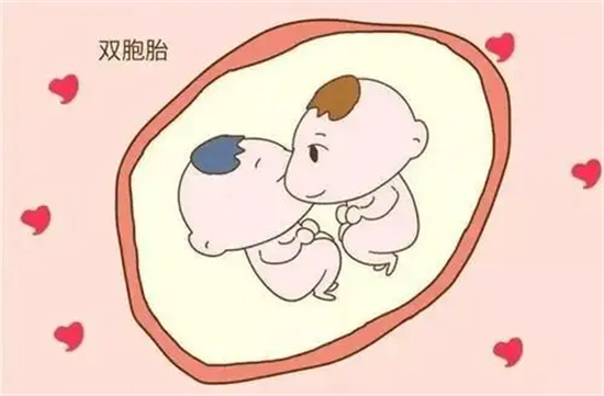 1699862094336835.png 28.png