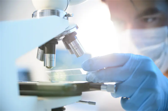 1700031086546709.png 3.png