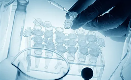 1700032323450188.png 34.png