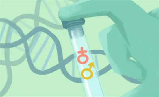 1703230790272214.png 52.png