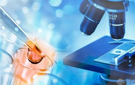 1703312039156432.png 32.png