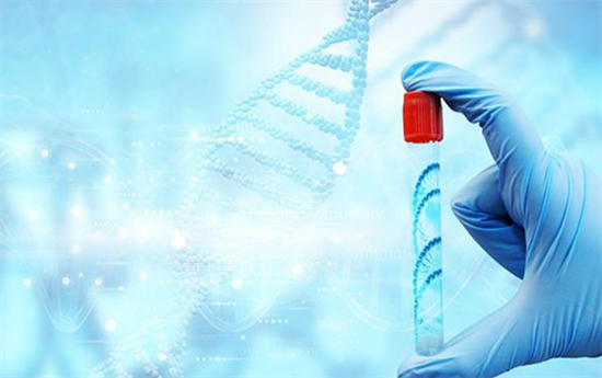 1703485921405129.png 45.png