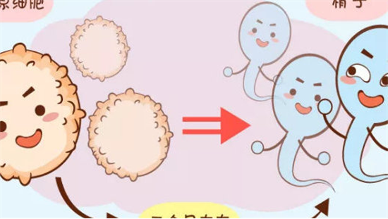 1703571411222175.png 51.png