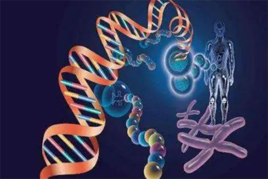 1703657875442621.png 60.png