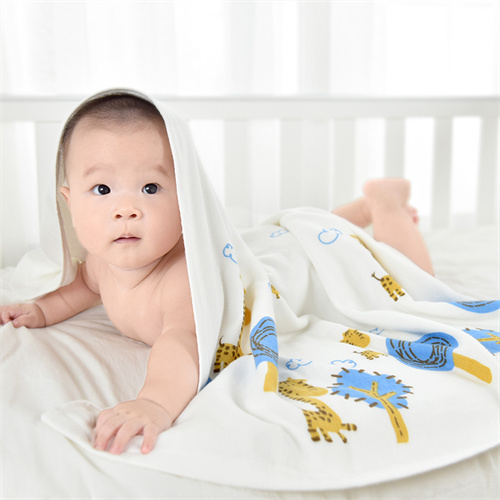 1703743271536248.jpg 寶寶111.jpg