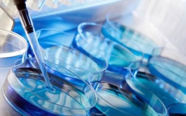 1717665207125979.jpg 17.jpg