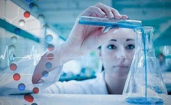 1717730898279906.jpg 10.jpg