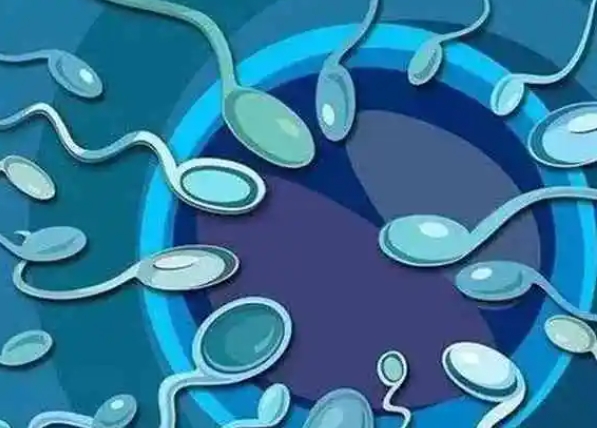 1718246110883340.jpg 22.jpg