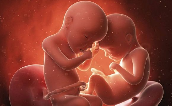 1718259531678205.png image.png