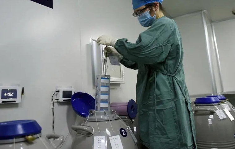 1718594133486667.jpg 44.jpg