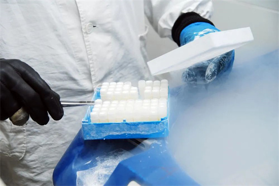 試管取卵后有異常卵泡怎么辦？穿刺取卵有異常卵泡能否移植