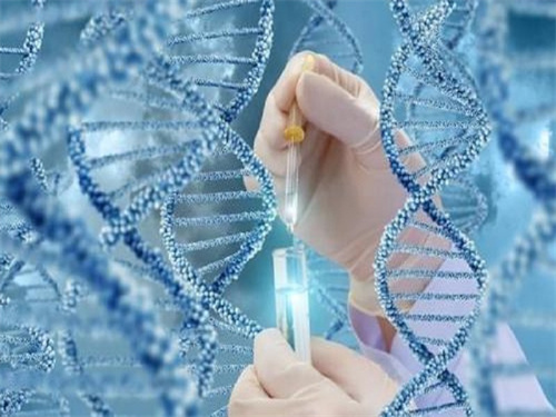 三代試管基因篩查能查出什么？2025三代試管基因篩查能查艾滋嗎