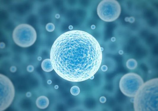 試管供卵公司如何判斷其正規性？選擇供卵試管助孕機構怎么做