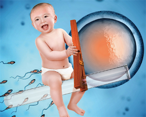 胚胎多倍體必須做三代試管嬰兒嗎？胚胎多倍體做三代試管能不能成功