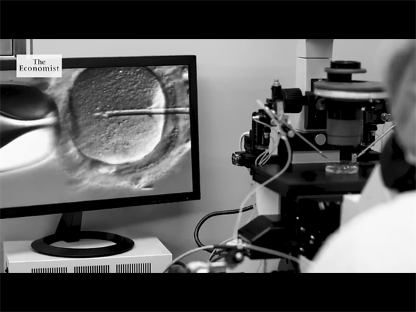 2025未婚赴柬埔寨怎么做試管嬰兒？附未婚赴柬埔寨的注意事項