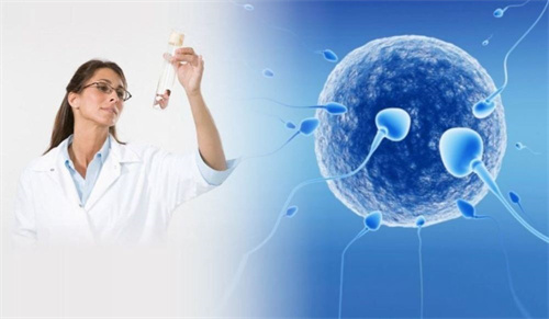 什么情況下能做供卵試管別還不造！這三大要求看看你是否具備