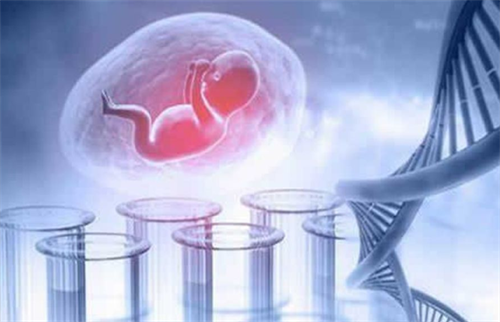 試管胚胎培育周期結束后的多久移植？附胚胎移植前的注意事項