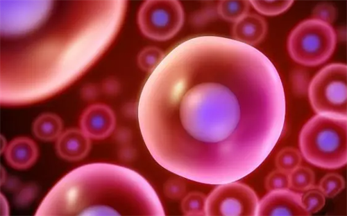 為什么多囊不建議試管助孕？（盤點(diǎn)多囊不建議做試管的原因）