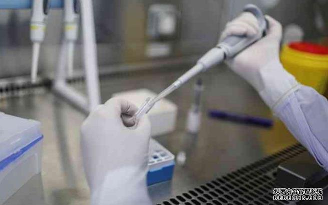 找深圳代懷 香港大學深圳醫院試管嬰兒成功率全國排名第幾? ‘男孕囊和女孕囊的區別’