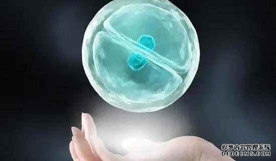 溫州私人供卵 2022年溫州試管嬰兒費用大約多少? ‘4.1*1.6*3.6孕囊看男女’