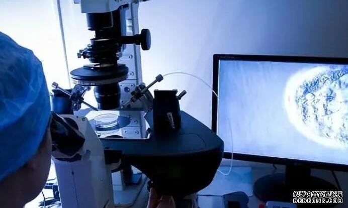 武漢三代試管醫院排名 武漢試管嬰兒醫院 ‘代孕癥狀一樣,男孩女孩都一樣嗎’