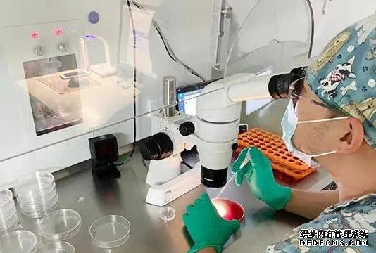 北京三院生殖科試管流程 2022北京三代試管生男孩費用?附最新助孕費用明細一覽 ‘怎么區分胎兒男女雙頂徑53,骨股長39’