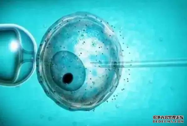 北京助孕公司aa69好不好 北京三代試管醫院推薦: ‘b超如何測男女’