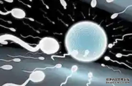 2023臺州供卵機構排名前十公布！附各大醫院卵源等待時間