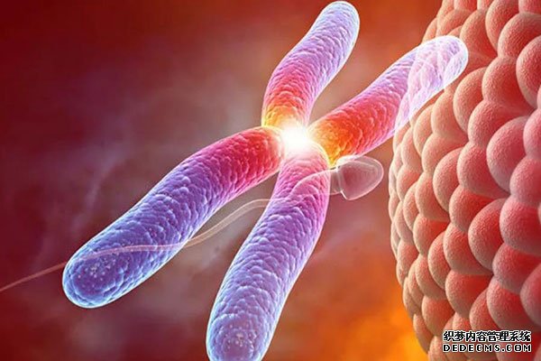 廣西代生 2022廣西壯族自治區私立助孕機構名單大全，附試管費用和成功率預估 ‘b超單三條線男孩圖’