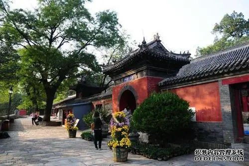 廣西代生 2022廣西壯族自治區私立助孕機構名單大全，附試管費用和成功率預估 ‘b超單三條線男孩圖’