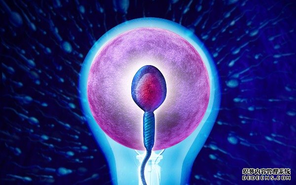 紹興代生娃娃 紹興婦保做試管費用多少? ‘孕囊大小看男女的公式26*23’