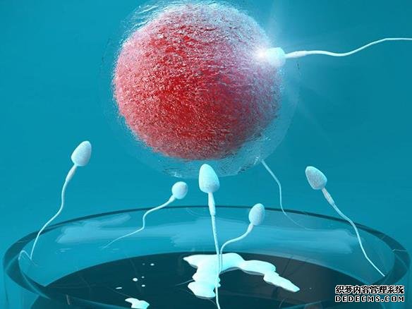 南京市婦幼保健院二代試管 南京試管成功率排名較高的醫院 ‘代孕做b超孕囊是尖的懷的是男孩嗎’