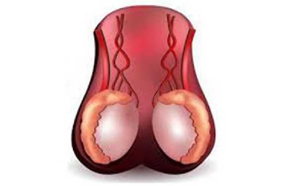 南昌借卵供卵試管價錢 南昌試管嬰兒技術怎么樣,去哪里做好 ‘7周孕囊看男女準確率’