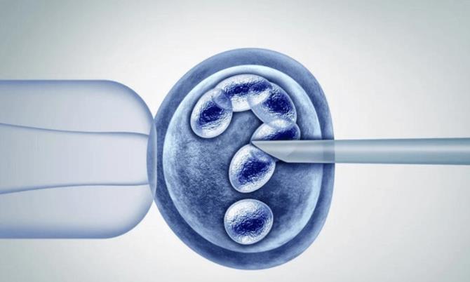 江西試管嬰兒醫院/費用/成功率介紹