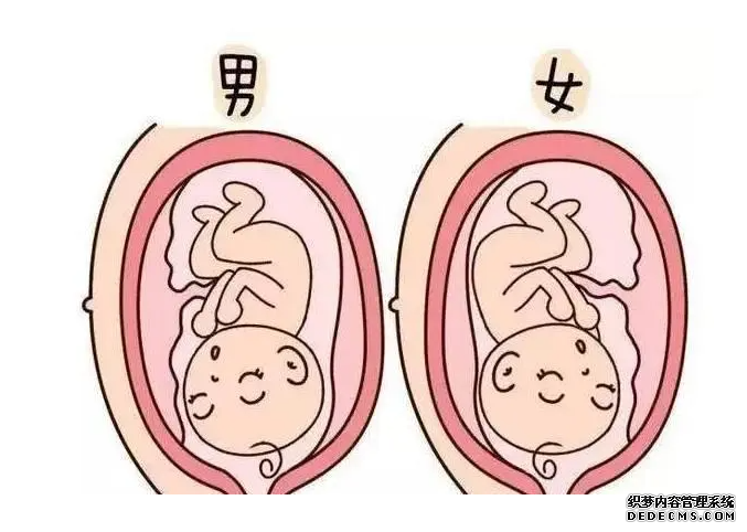西安想捐卵 西安試管醫(yī)院生殖醫(yī)學中心推薦 ‘營口伊人26周四維看男女準么’