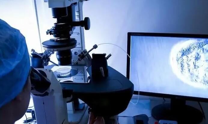 上海 試管 實驗室 2023年上海三代試管醫院哪家好? ‘彩超儀女孩圖’