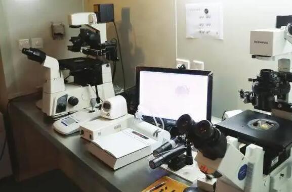 四川試管政策 2023四川三代試管嬰兒醫院排名 ‘懷孕31周+5雙頂經80股骨長60是男孩女孩’