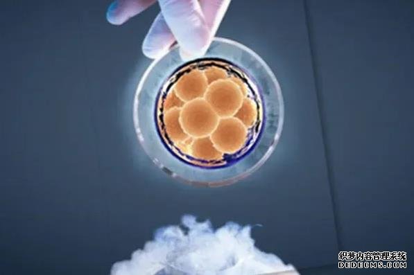 40歲以上女性卵巢功能衰退不可恢復，7個妙招可延緩早衰-短方案促排卵泡不均勻