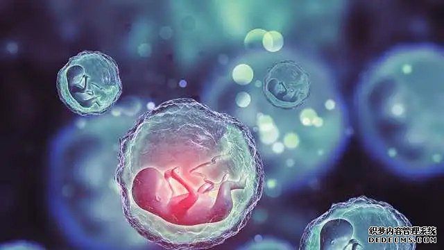 廈門找個人代孕 廈門174人工授精多少錢？要檢查什么內容？ ‘四維數據能看出來男女嗎’