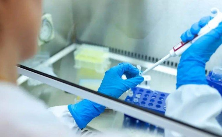 成都哪里找供卵試管聯(lián)系方式 成都市第五人民醫(yī)院試管嬰兒成功率參考 ‘孕囊4.0x1.6×3.2是男孩還是女孩’