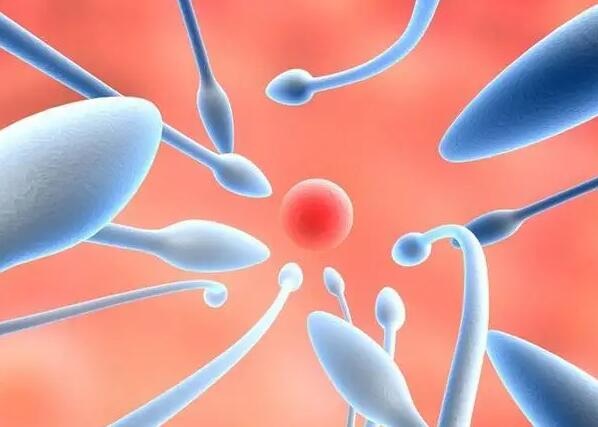 鄭州試管補貼 鄭州第二附屬醫院試管嬰兒需要多少錢？怎樣才能減少花銷？ ‘孕囊1.8以下看男女’