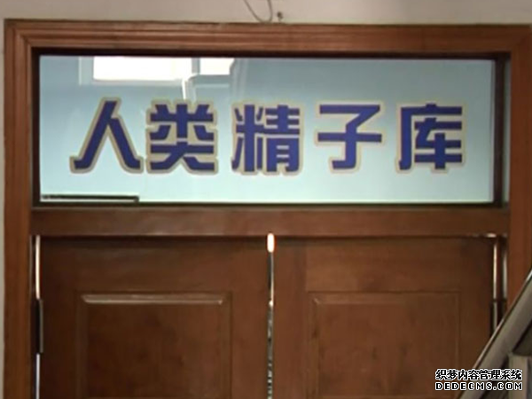 福州代生中心地址 福州總院第三代試管嬰兒費用要多少?三代試管費用貴嗎? ‘孕囊大小怎么看男女31x30x12’