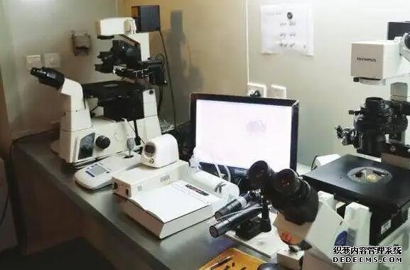 北京代孕孩子戶口 北京供精試管費用需要多少錢呢? ‘用尿和酒精查男女幾個月最準’