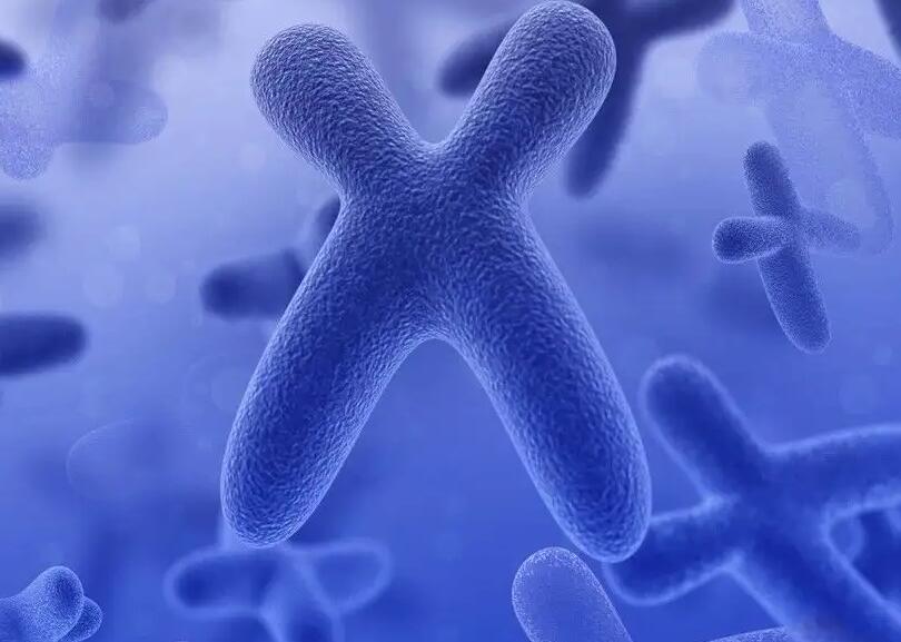 廣州試管費用 卵巢功能0.7,廣州干細胞治療卵巢早衰的最新進展, ‘四維彩超看男孩女孩的暗語’