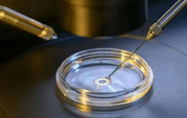 宮腔粘連做泰國試管成功率多大？